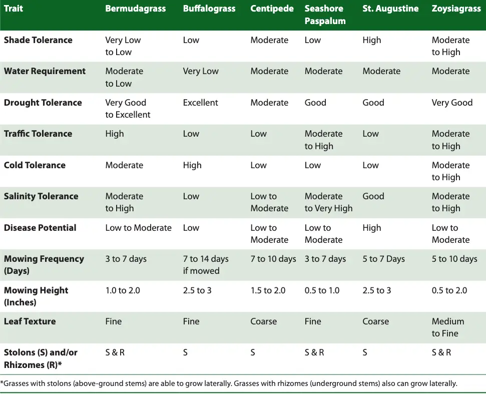Grass Seed Selection for Texas Lawn