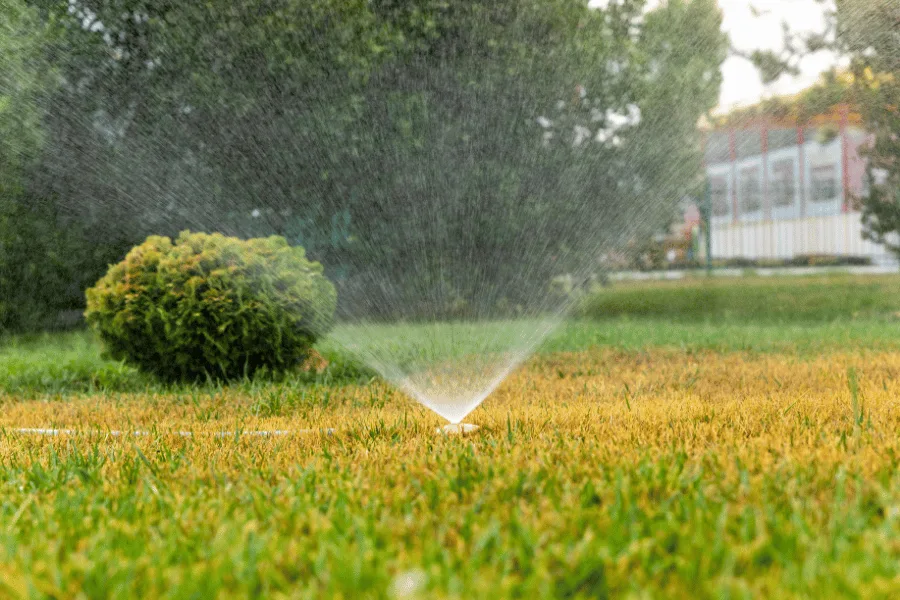 Texas Lawn Grass Watering Duration and Depth Guidelines