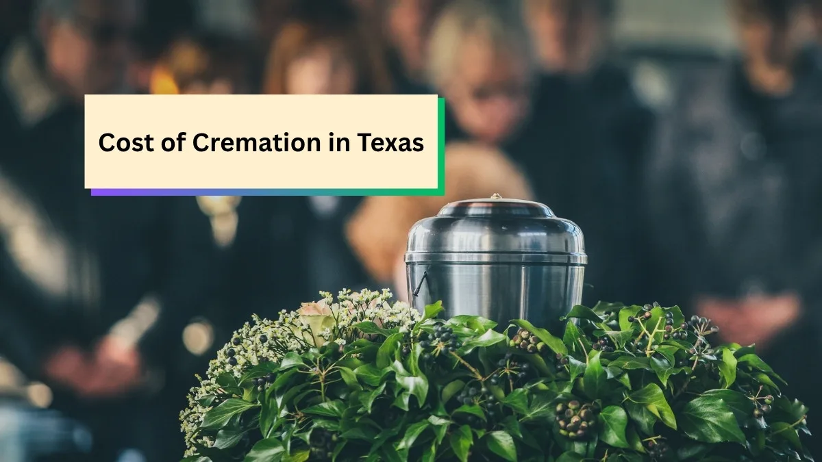 Cost of Cremation in Texas