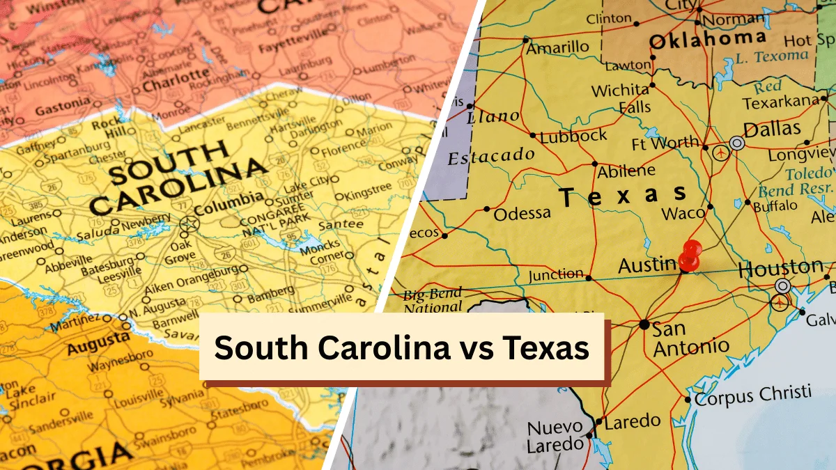 South Carolina vs Texas Size, Economy, Cost of Living & Lifestyle Compared