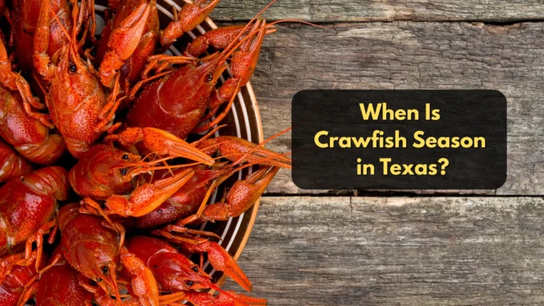 When Is Crawfish Season in Texas