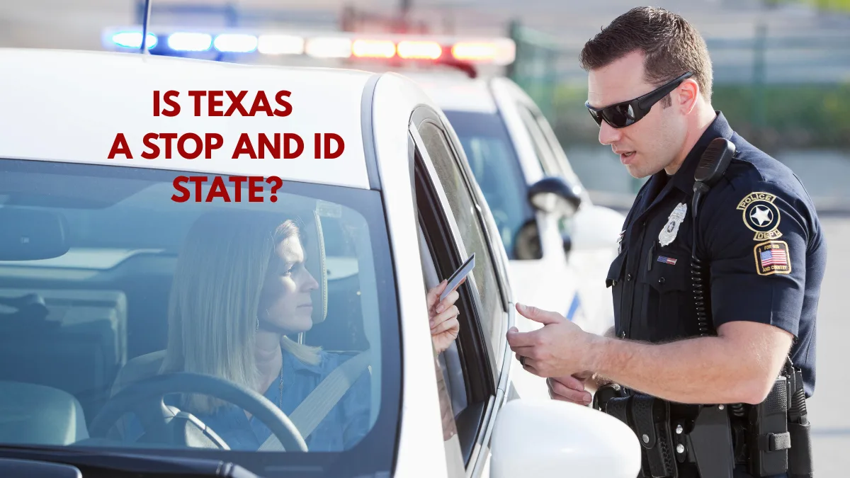 is texas a stop and id state