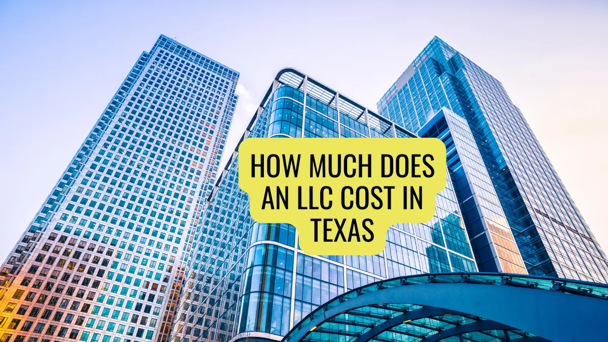 How Much Does an LLC Cost in Texas